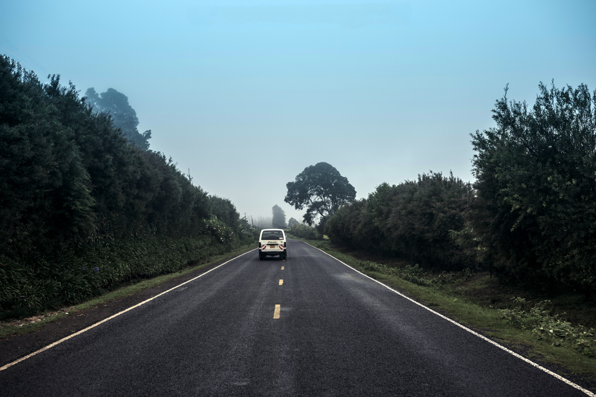 Kenya Landscape Photographer :: Kiambu County Tea Farm Estate