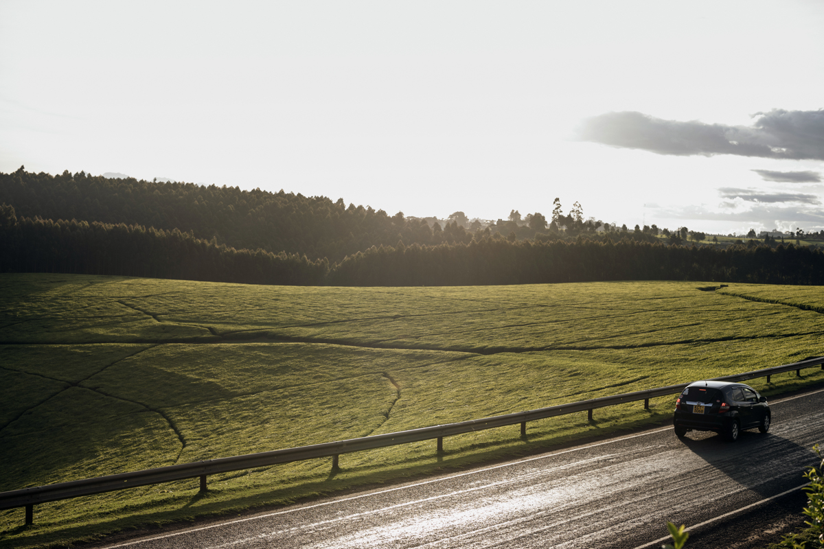 Kenya Landscape Photographer :: Kiambu County Tea Farm Estate