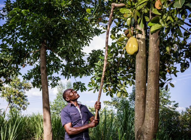 Kenya Documentary Commercial Photography :: Kakamega Farmer