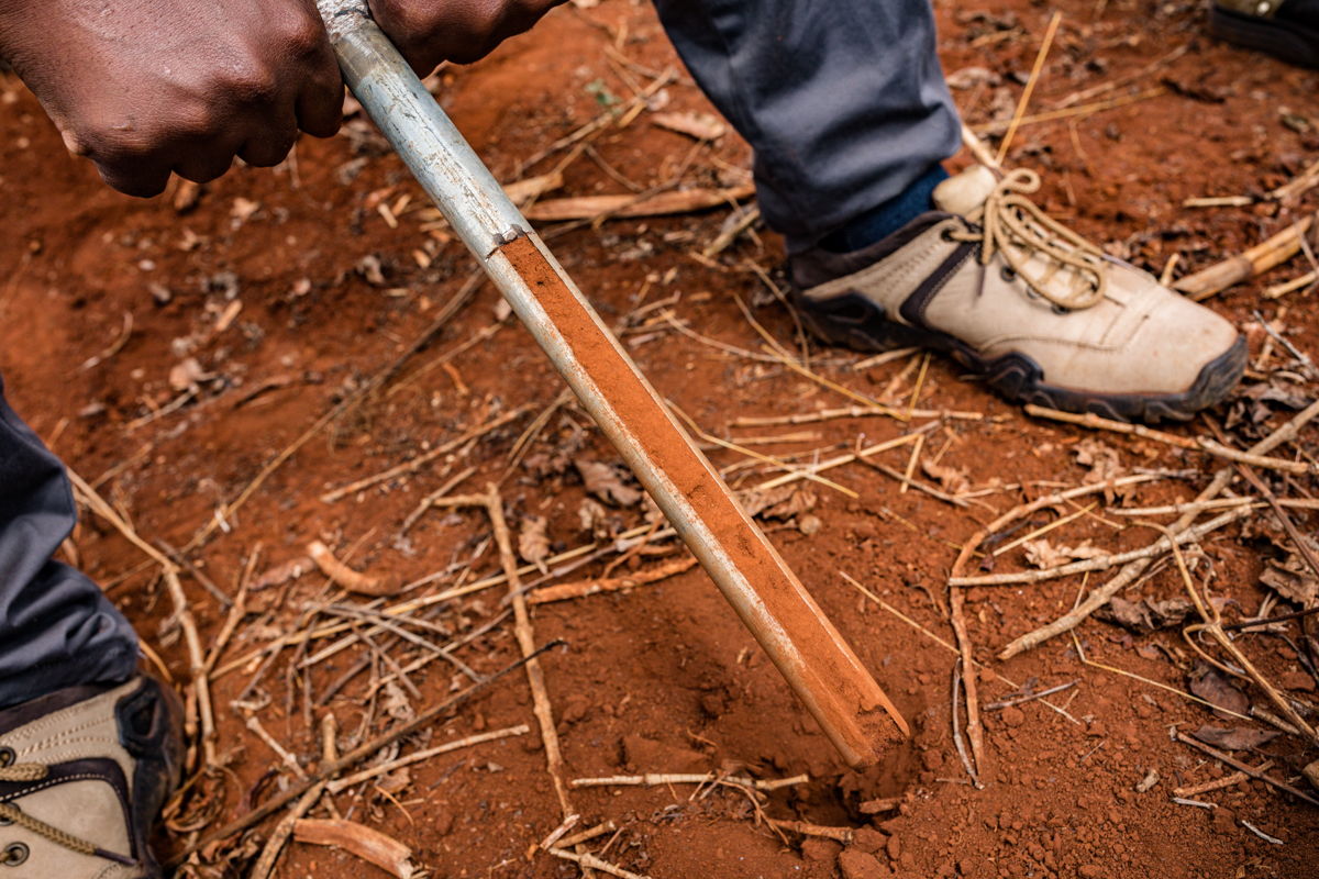 Kenyan Travel Documentary Photographers :: Coffee Leaf Soil Test