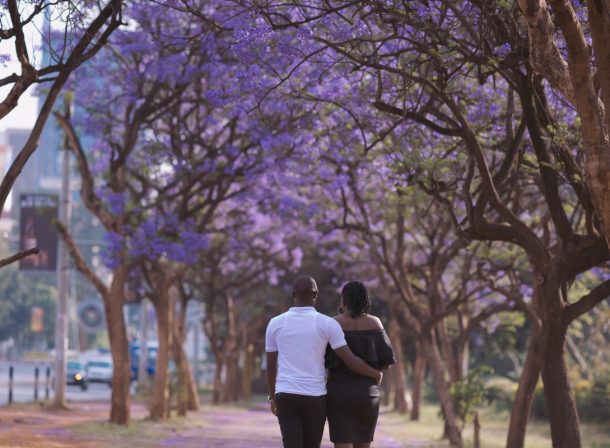 Jacaranda Flowers Purple Nairobi City County Couple Engagement