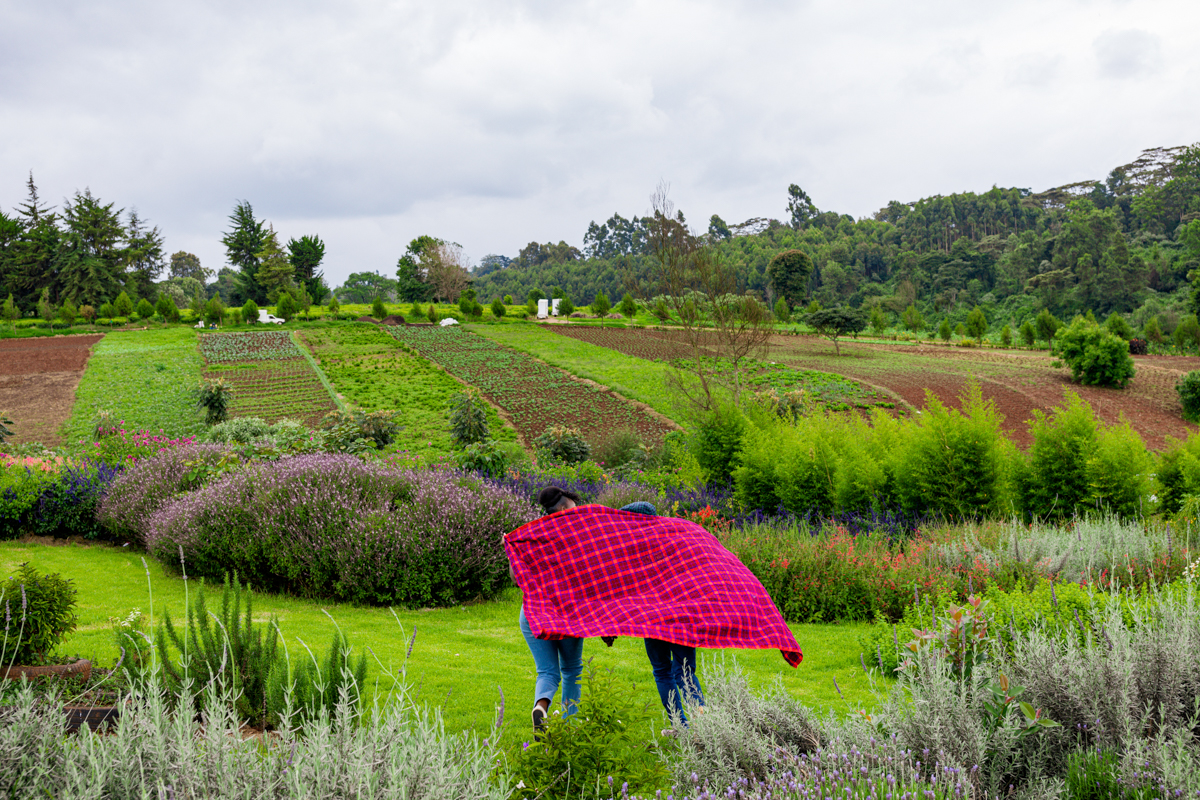 Kenyan Adventure Elopements Couple Engagement Prewedding Proposals Photo shoot By Antony Trivet Weddings