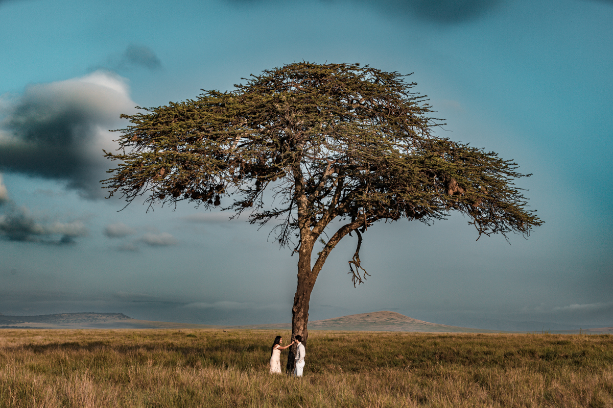 Safaris Bush Wild Adventure Weddings Photographers In Kenya