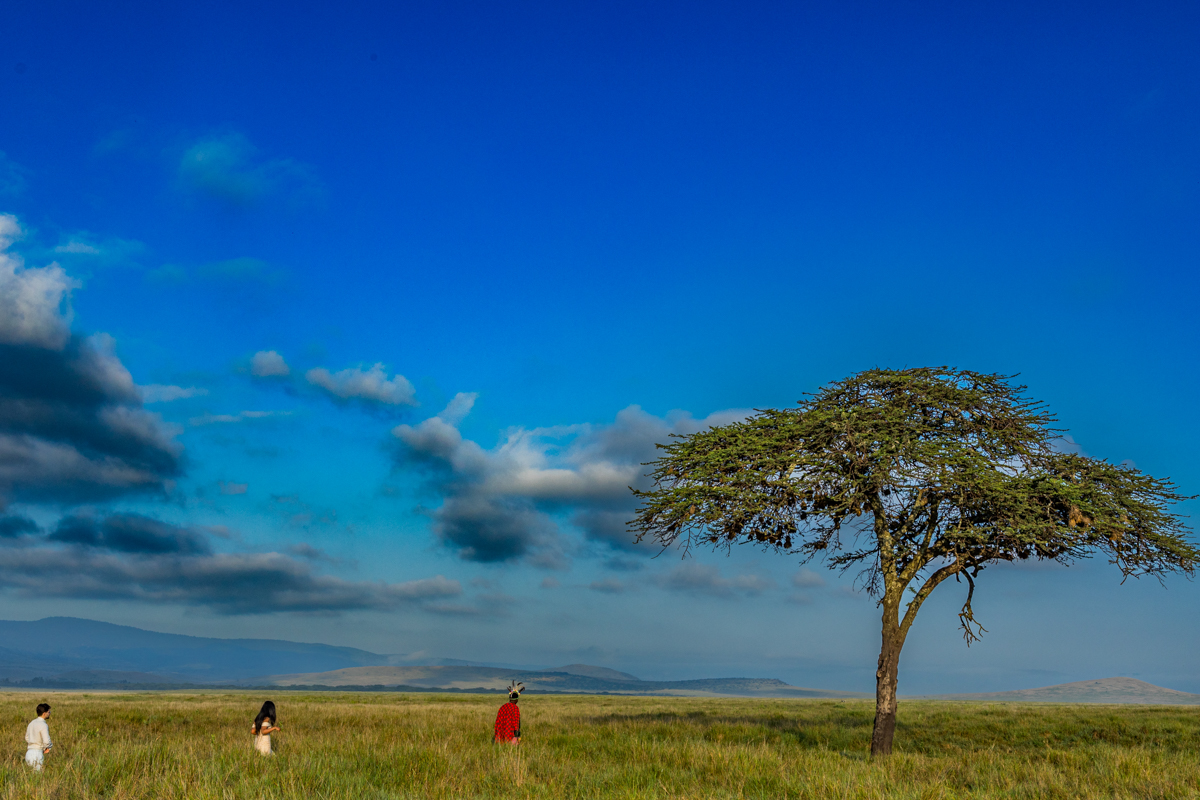 Safaris Bush Wild Adventure Weddings Photographers In Kenya