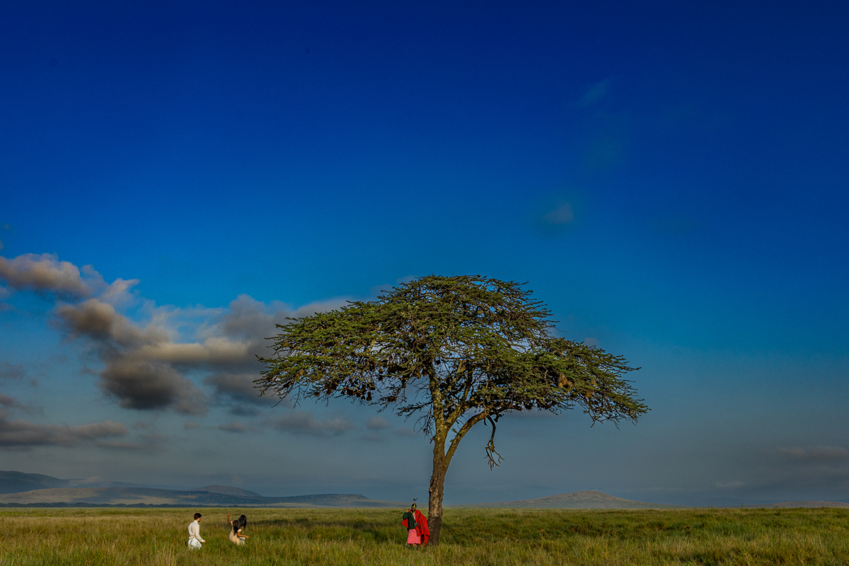 Safaris Bush Wild Adventure Weddings Photographers In Kenya