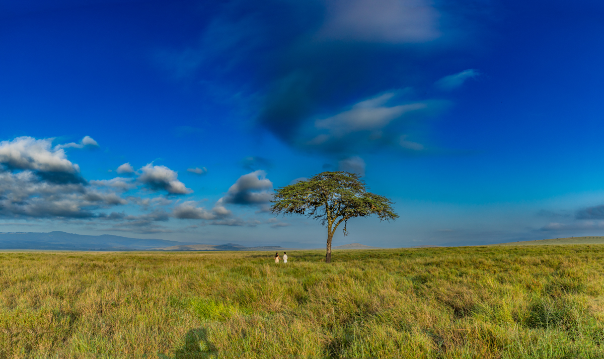 Safaris Bush Wild Adventure Weddings Photographers In Kenya