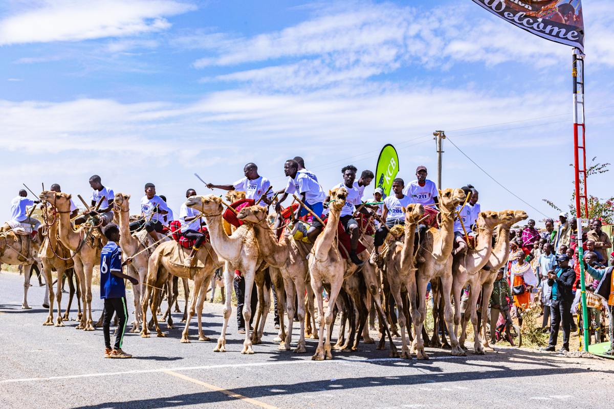 Maralal International Camel Derby Yare Samburu County Cultural Festival Traditional By Antony Trivet Travels