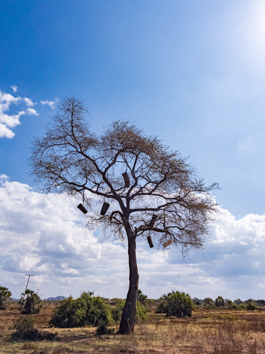 Tanzania Travel Documentary Photographers In Kenya