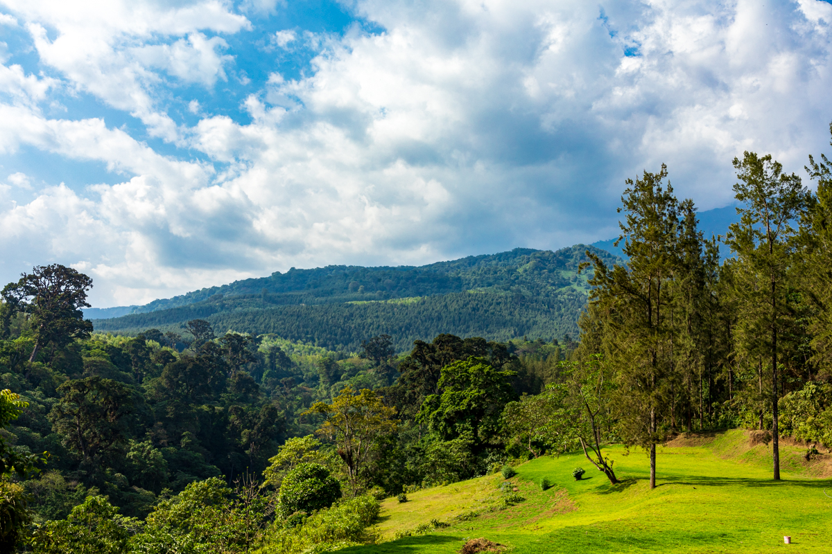 Napuru Waterfall Arusha Tanzania :: Mount Meru Forest Landscape