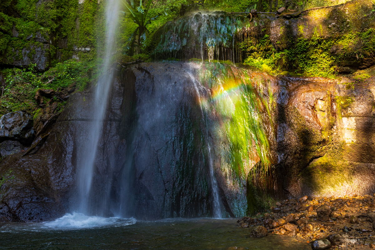 Napuru Waterfall Arusha Tanzania :: Mount Meru Forest Landscape