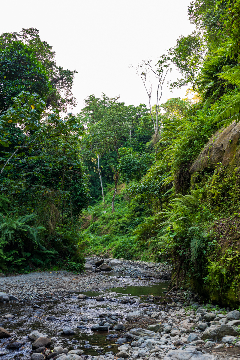 Tanzania Photographers Travels Lifestyle Safaris Documentary By Antony Trivet Photography