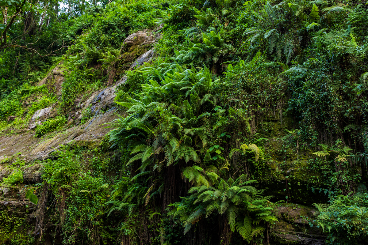 Tanzania Photographers Travels Lifestyle Safaris Documentary By Antony Trivet Photography