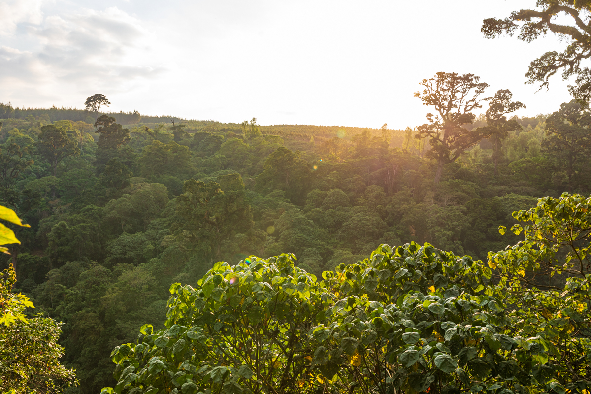 Tanzania Photographers Travels Lifestyle Safaris Documentary By Antony Trivet Photography